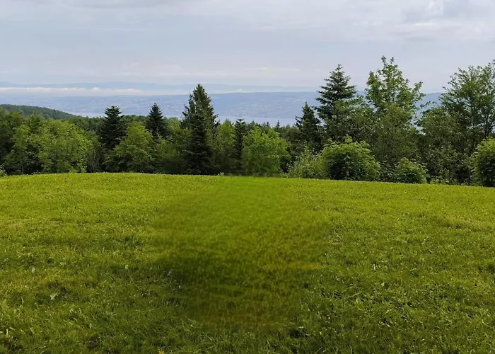 Le Panoramic